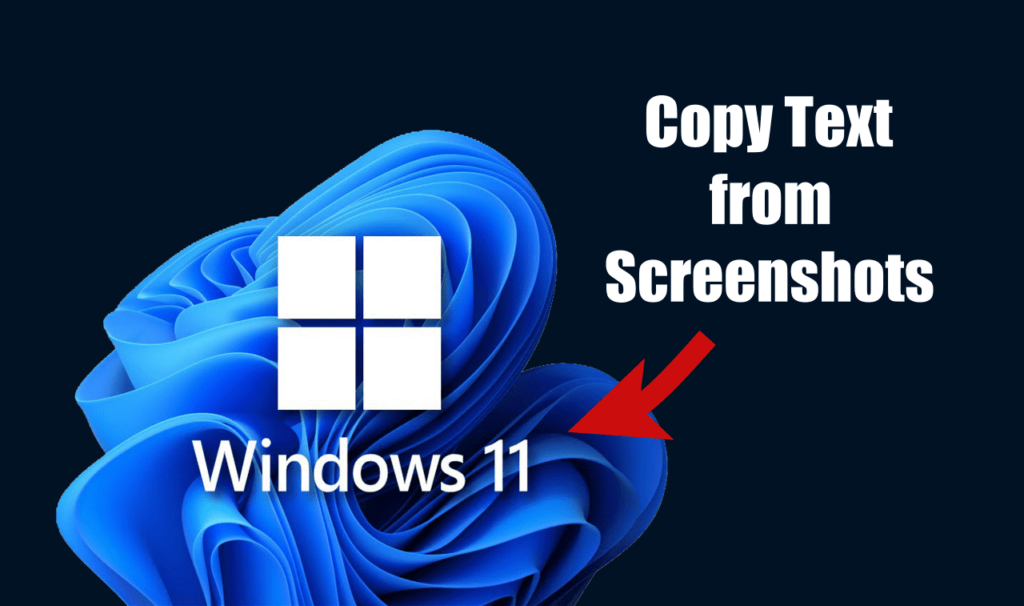 How to Copy Text from Screenshots on Windows 11 (3 Methods)